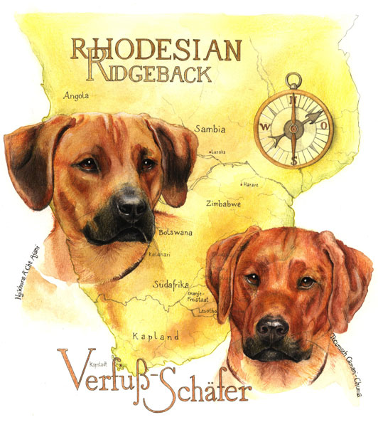 Ridgeback Verfuss