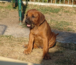 DSC03245